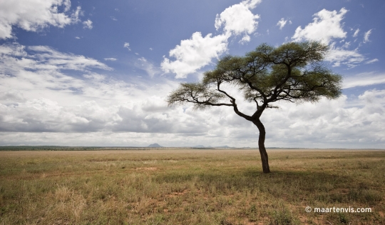 20081130 3738 540x315 - Tarangire National Park