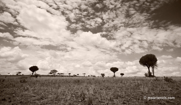 20081130 3831 610x356 - Tarangire National Park