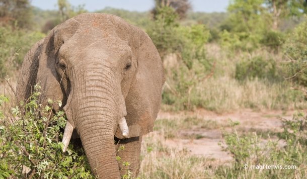 20081130 4241 610x356 - Tarangire National Park