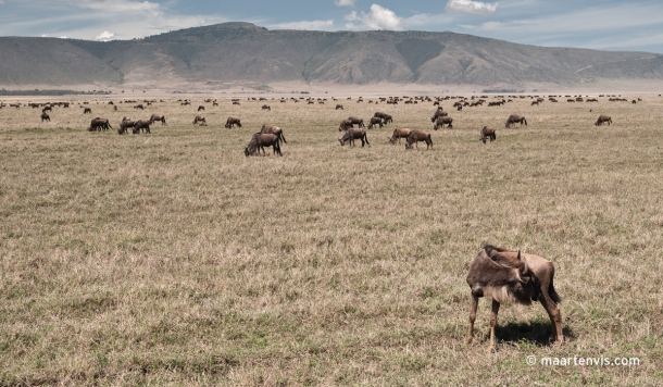 20081202 5178 610x356 - Exploring the Ngorogoro Crater