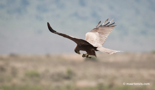 20081202 5402 610x356 - Ngorogoro III