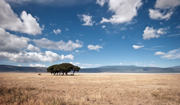 20081202 5515 610x356 - Ngorogoro III