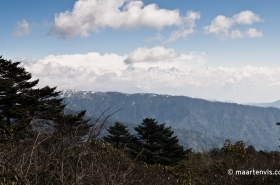 20090410 6075 280x185 - Down from Sandakphu to Sinkhola