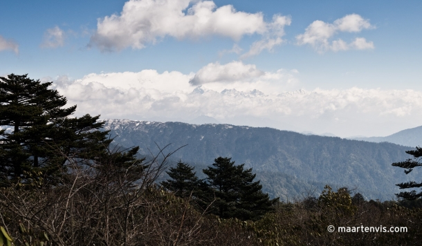 20090410 6075 610x356 - Down from Sandakphu to Sinkhola