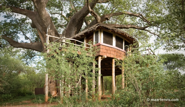 20081129 3327 610x355 - Tarangire Treetops, Tanzania