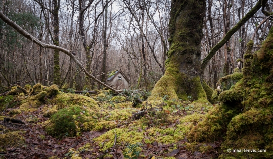 20120222 2290 540x315 - 40 Shades of Green