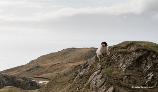 20120223 2436 540x315 - A Pilgrimage to Slieve League Cliffs