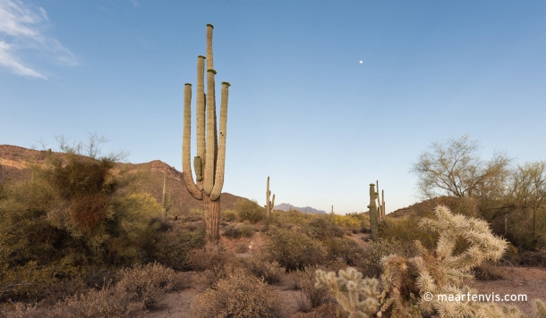 20120502 67892 610x356 - In the Arizona Desert