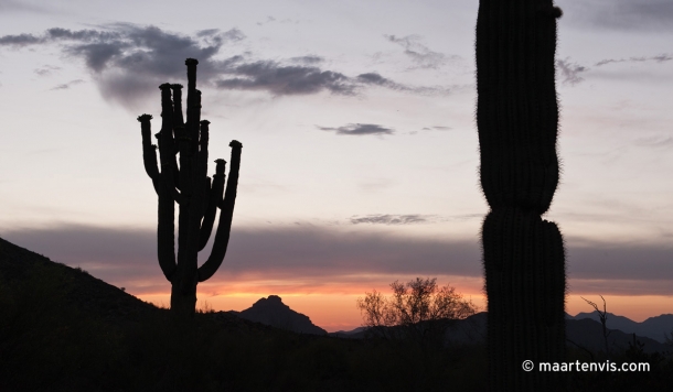 20120502 68292 610x356 - In the Arizona Desert