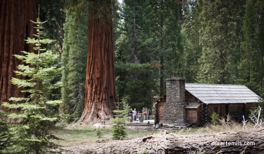 20120504 7048 540x315 - Sequoia Grove