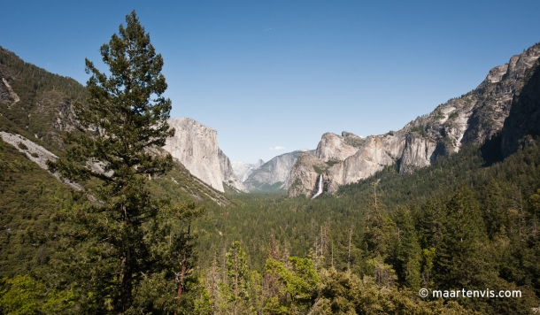 20120505 7066 610x356 - Bear Spotting in Yosemite Valley