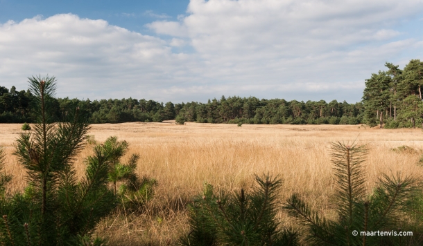 20120810 8775 610x356 - Hoge Veluwe National Park