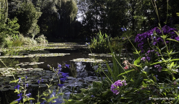 20120906 9339 610x356 - Strolling Through Monet's Garden