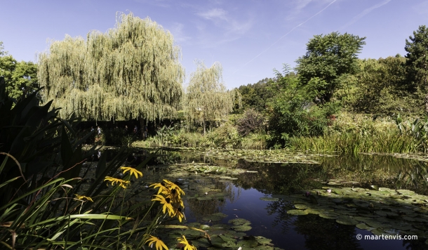 20120906 9342 610x356 - Strolling Through Monet's Garden