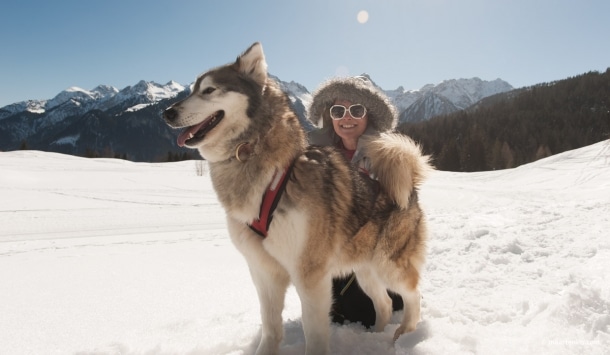20130303 5368 610x355 - Husky Sleigh Riding in the Austrian Alps