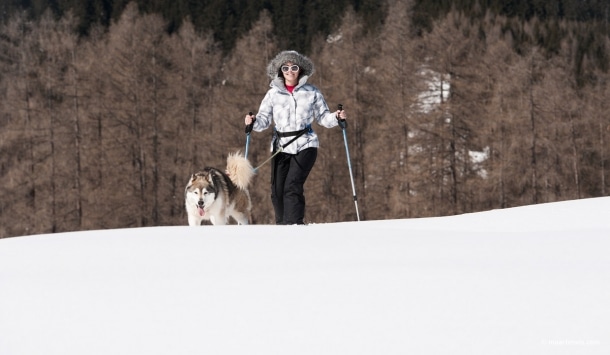20130303 5425 610x355 - Husky Sleigh Riding in the Austrian Alps