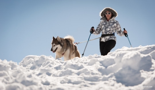 20130303 5461 540x315 - Husky Sleigh Riding in the Austrian Alps