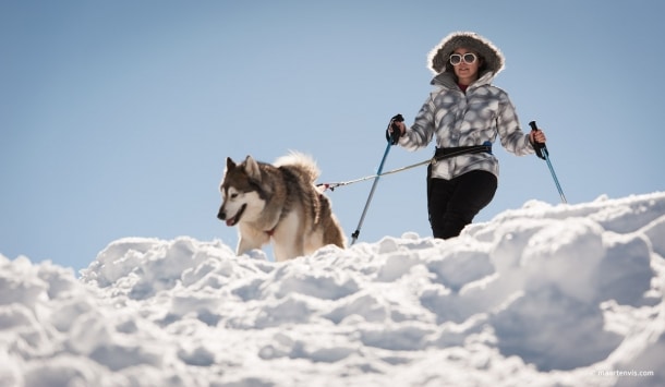 20130303 5461 610x355 - Husky Sleigh Riding in the Austrian Alps