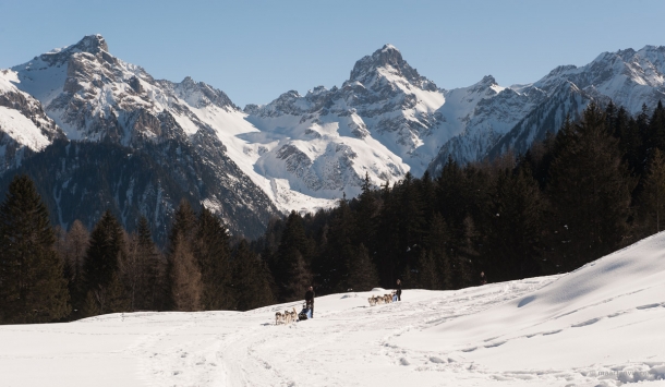 20130303 5782 610x355 - Husky Sleigh Riding in the Austrian Alps