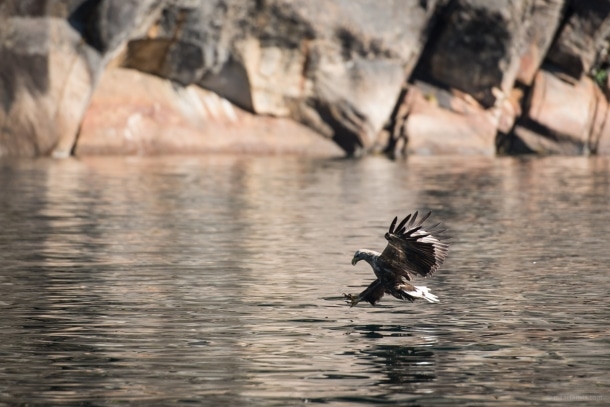 20130815 1473 610x407 - Moments in Lofoten