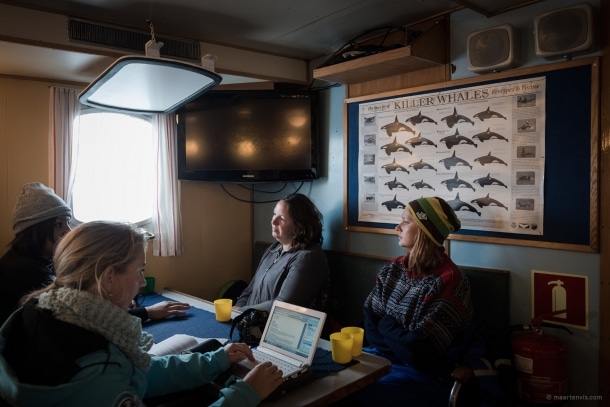 20130816 1759 610x407 - Whale Watching in Arctic Norway