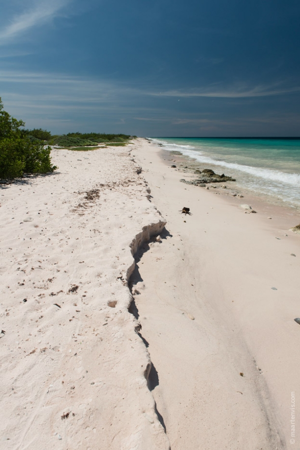 20130905 2186 610x913 - Bye Bye Bonaire