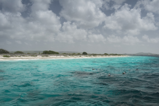 20130909 30581 540x360 - Snorkelling Near Klein Bonaire