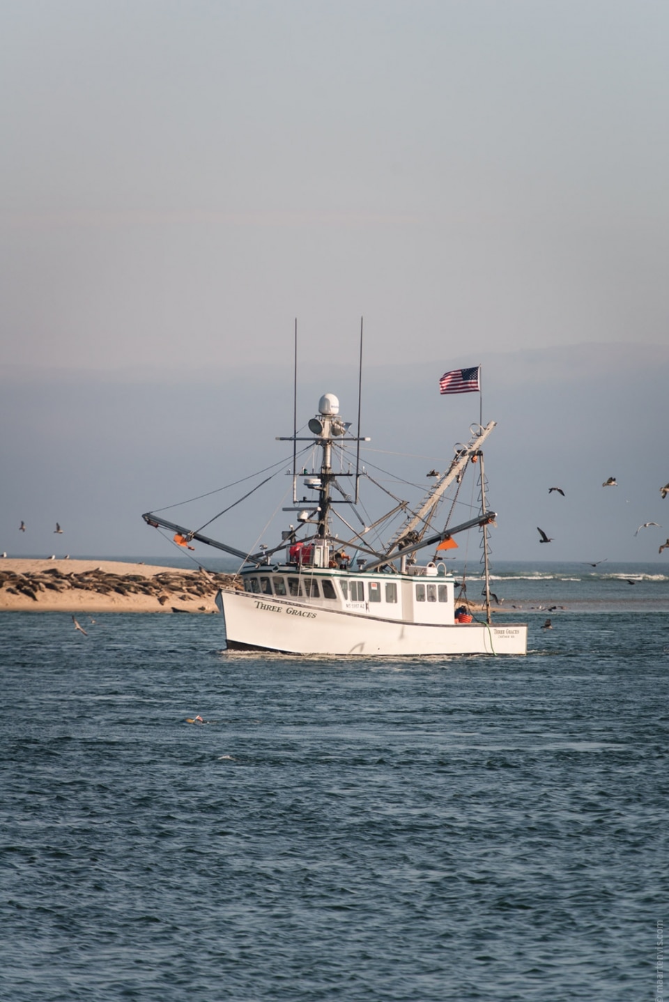 20131016 4547 960x1438 - Chatham Beach, Massachusetts