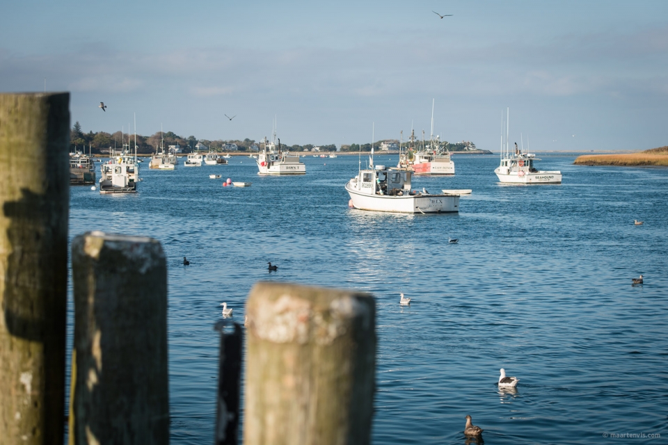 20131016 4556 960x640 - Chatham Beach, Massachusetts