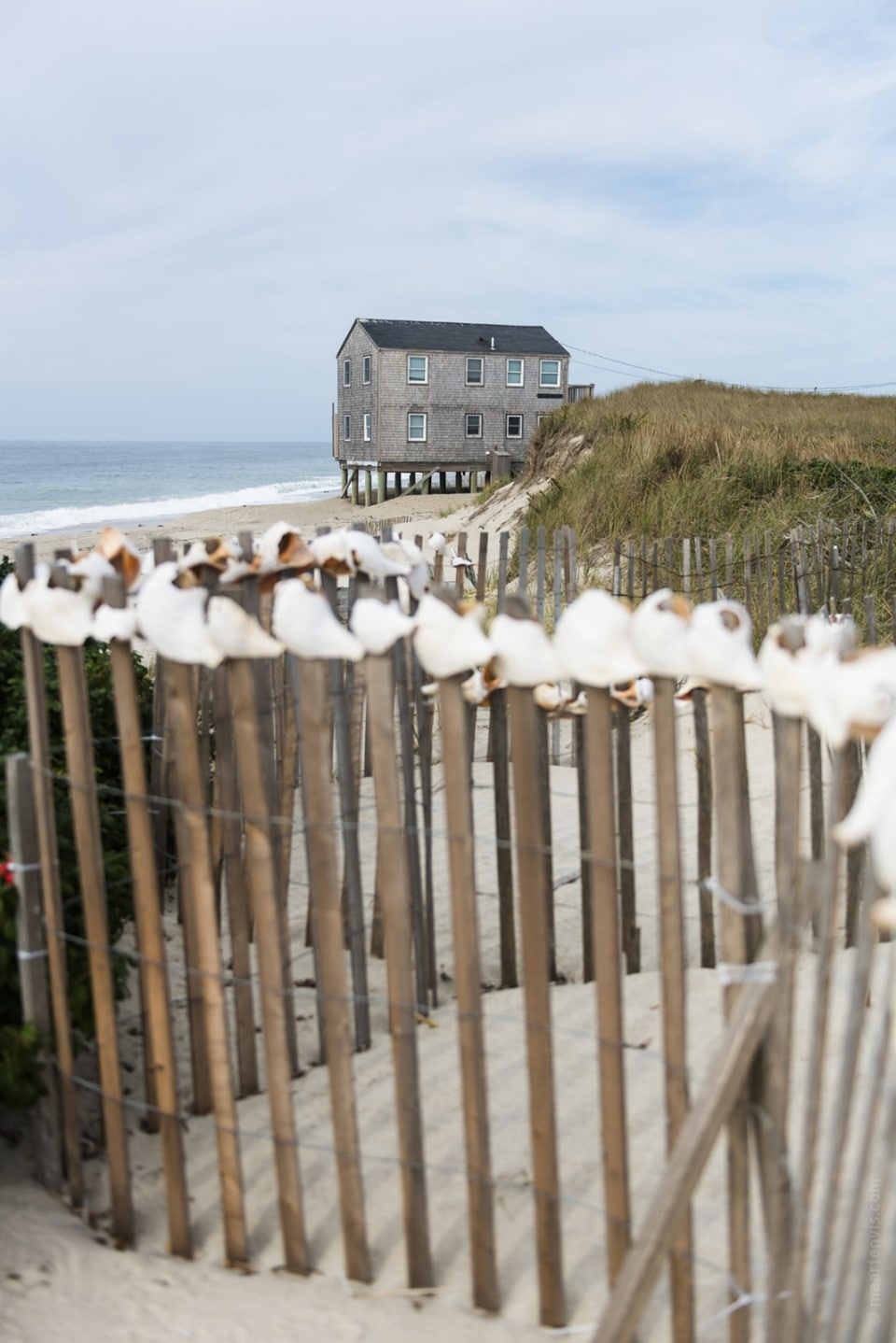 20131018 4724 960x1438 - Nantucket by 4WD Jeep