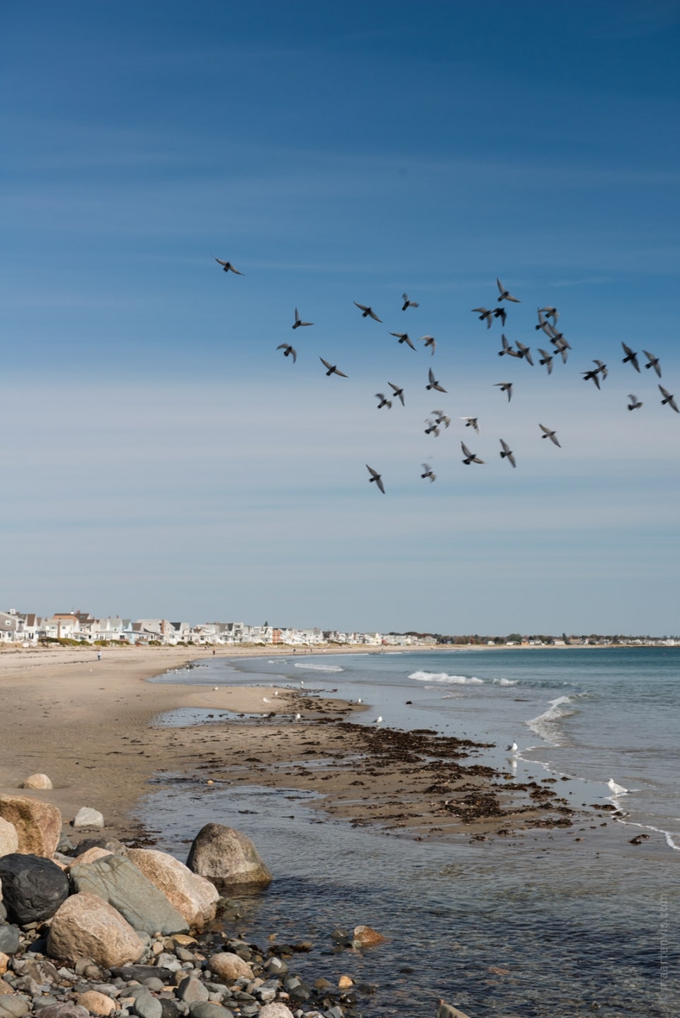 20131020 4885 960x1438 - Along the Maine Coast