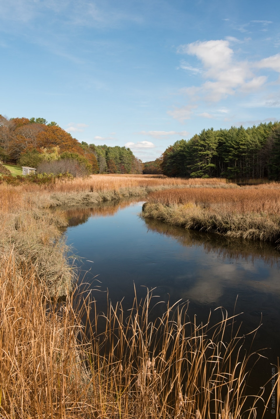 20131022 5044 960x1438 - Along the Maine Coast, Part 2