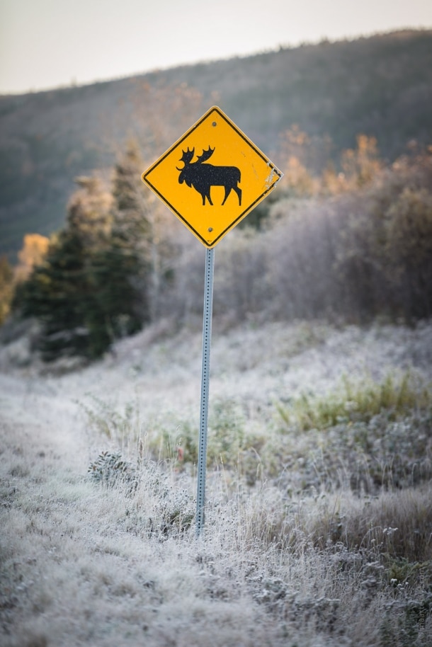 20131030 5549 610x914 - The Cabot Trail, Nova Scotia