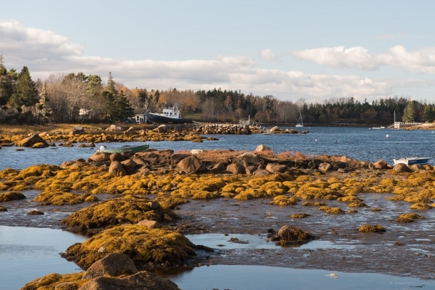 20131103 5849 610x407 - Nova Scotia South Coast