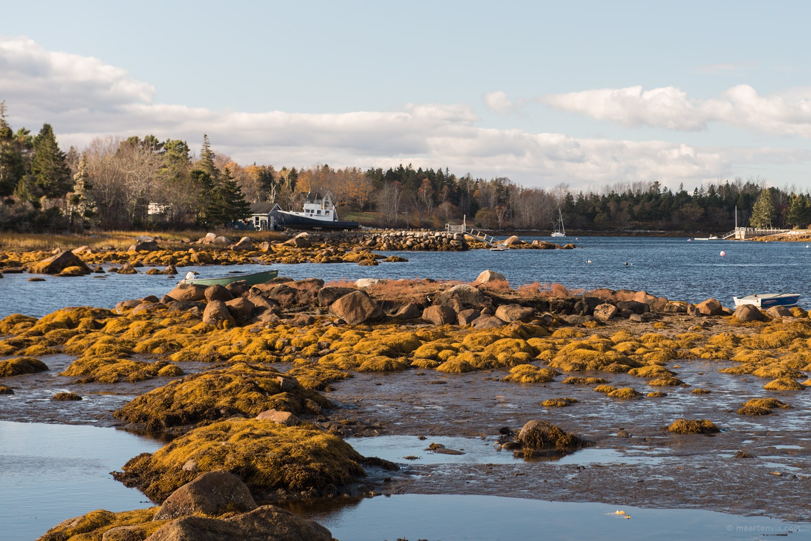 Nova Scotia South Coast Fish and Feathers travel blog