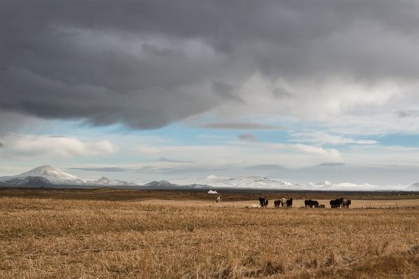 20131105 61072 610x407 - Hitting the F-Roads