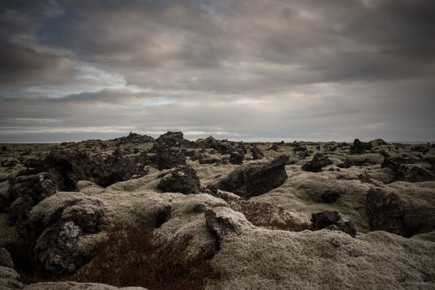 20131107 6500 610x407 - On The Southern Ring Road