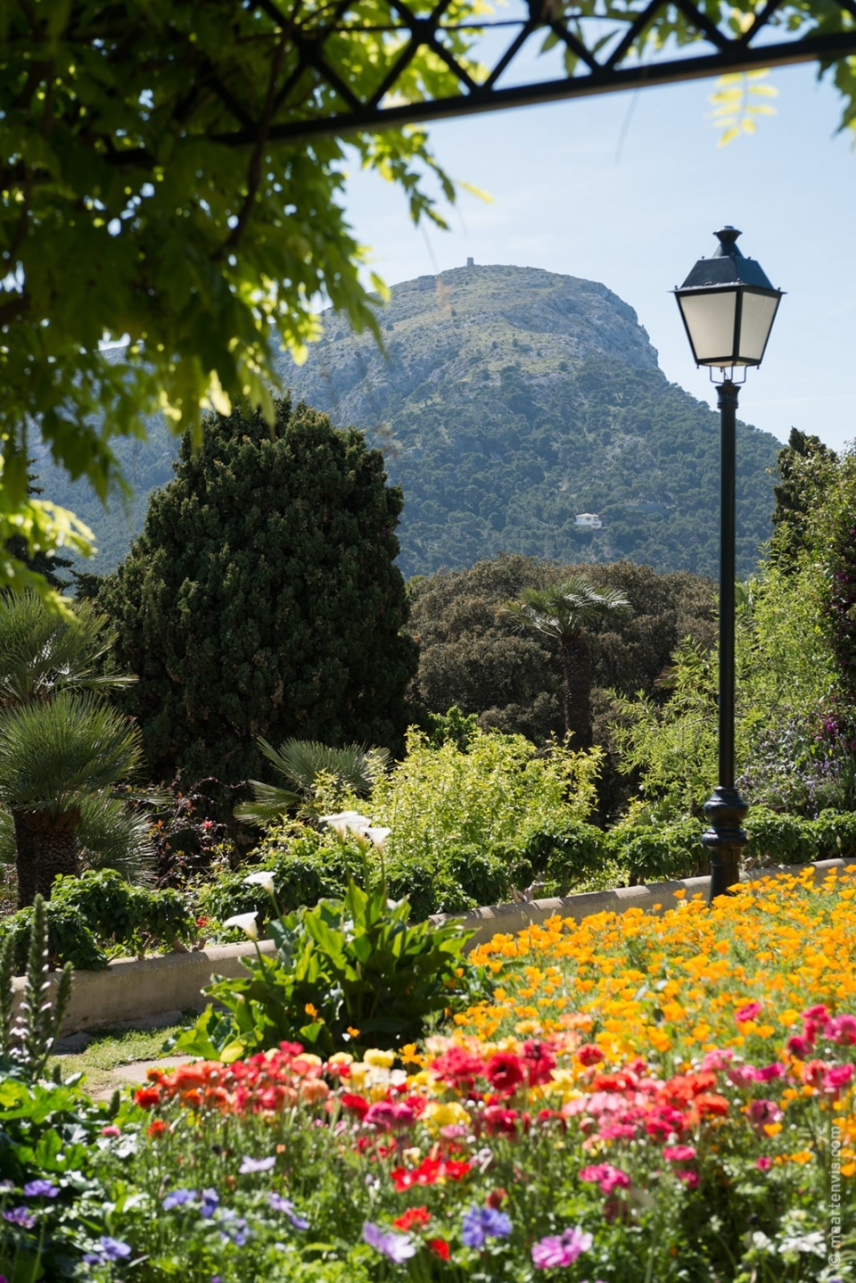 20140429 9385 960x1438 - Hotel Formentor in Spring