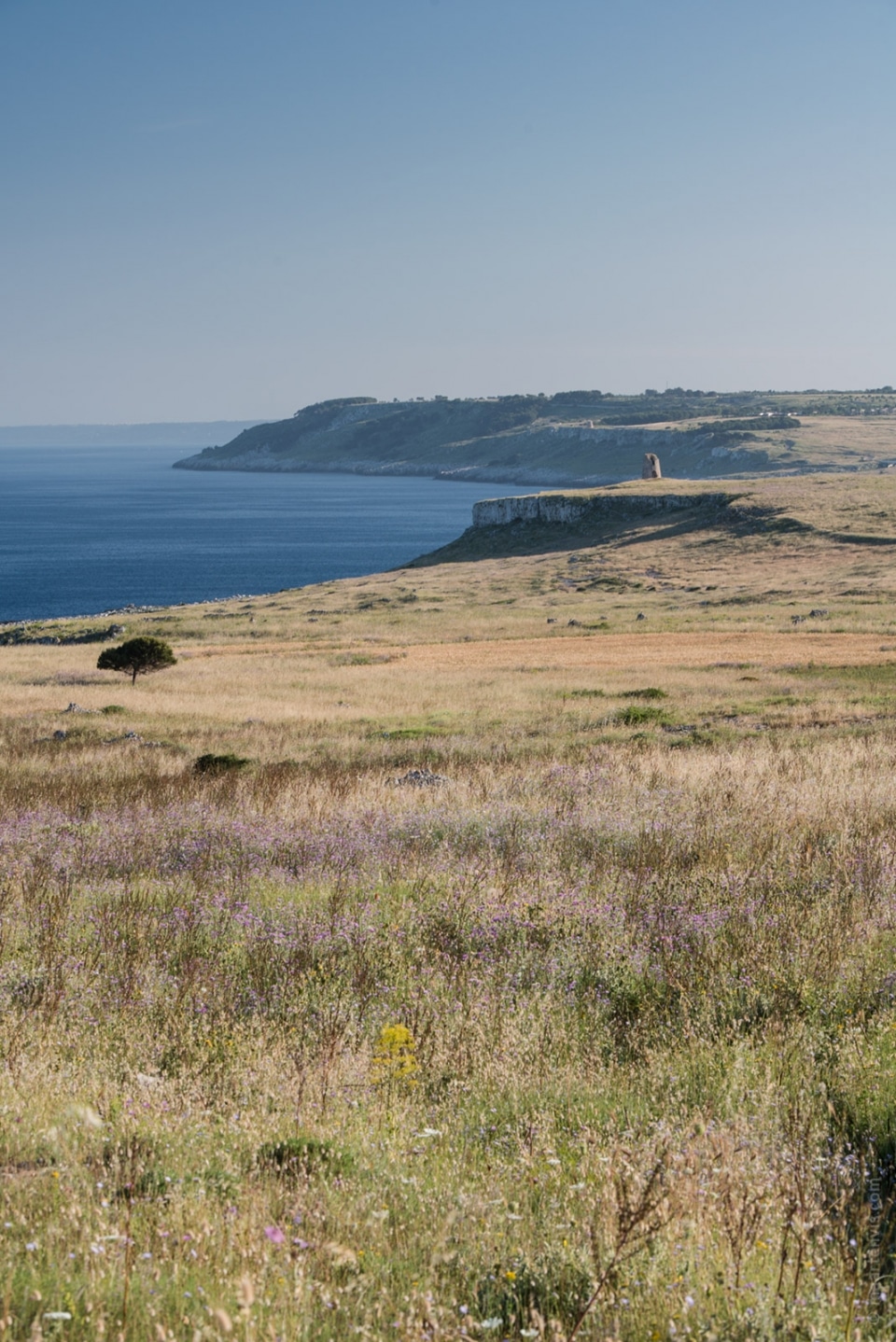 20140526 0686 960x1438 - Puglia Coastal Drive