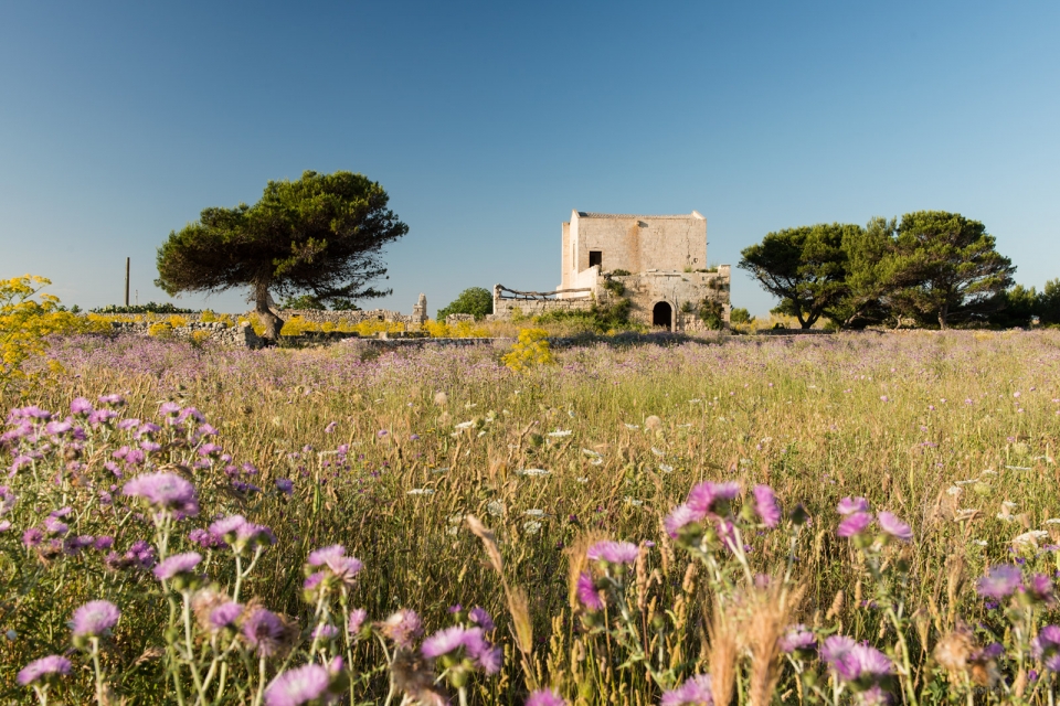 20140526 0699 960x640 - Puglia Coastal Drive