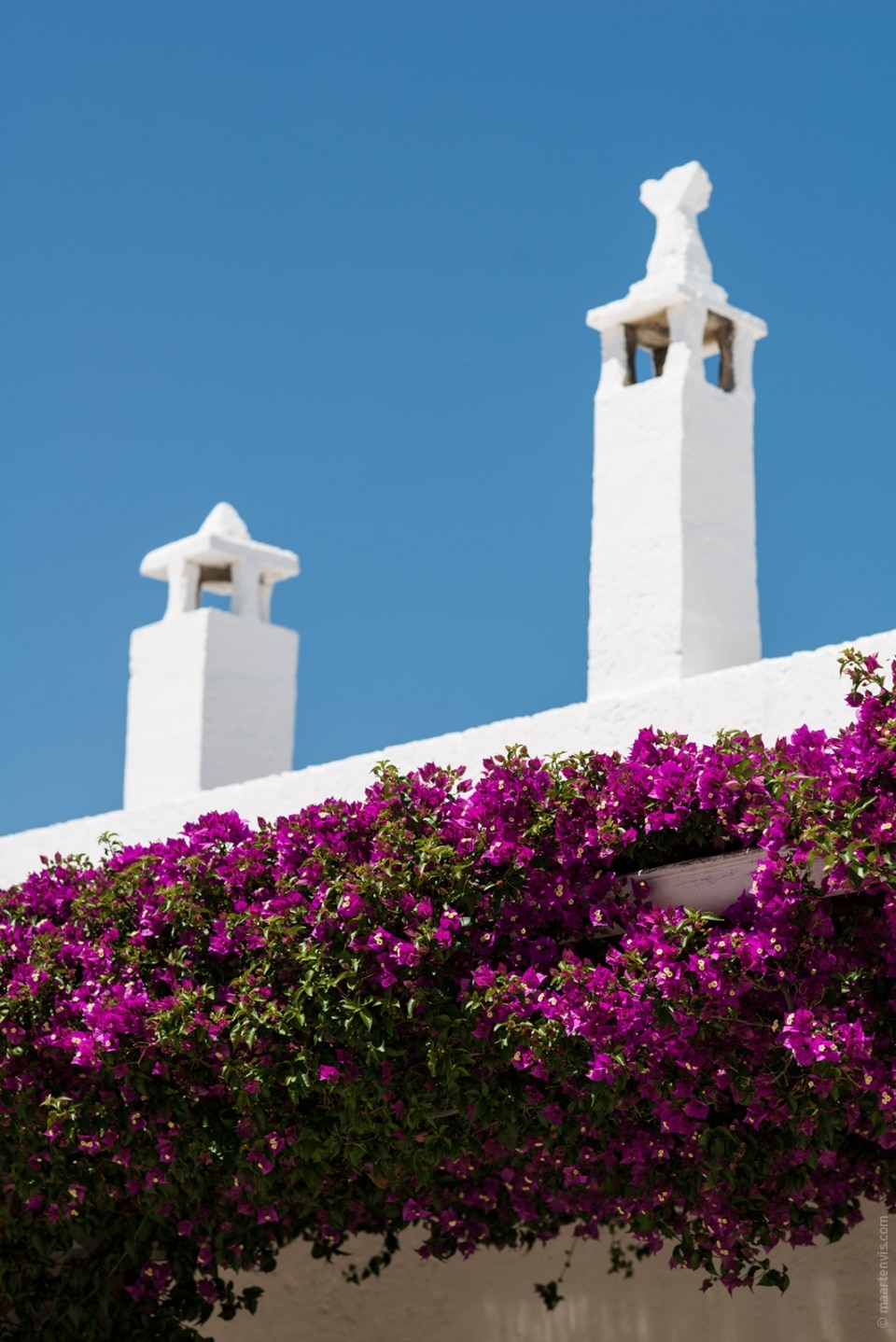 20140529 0879 960x1438 - Masseria Torre Maizza