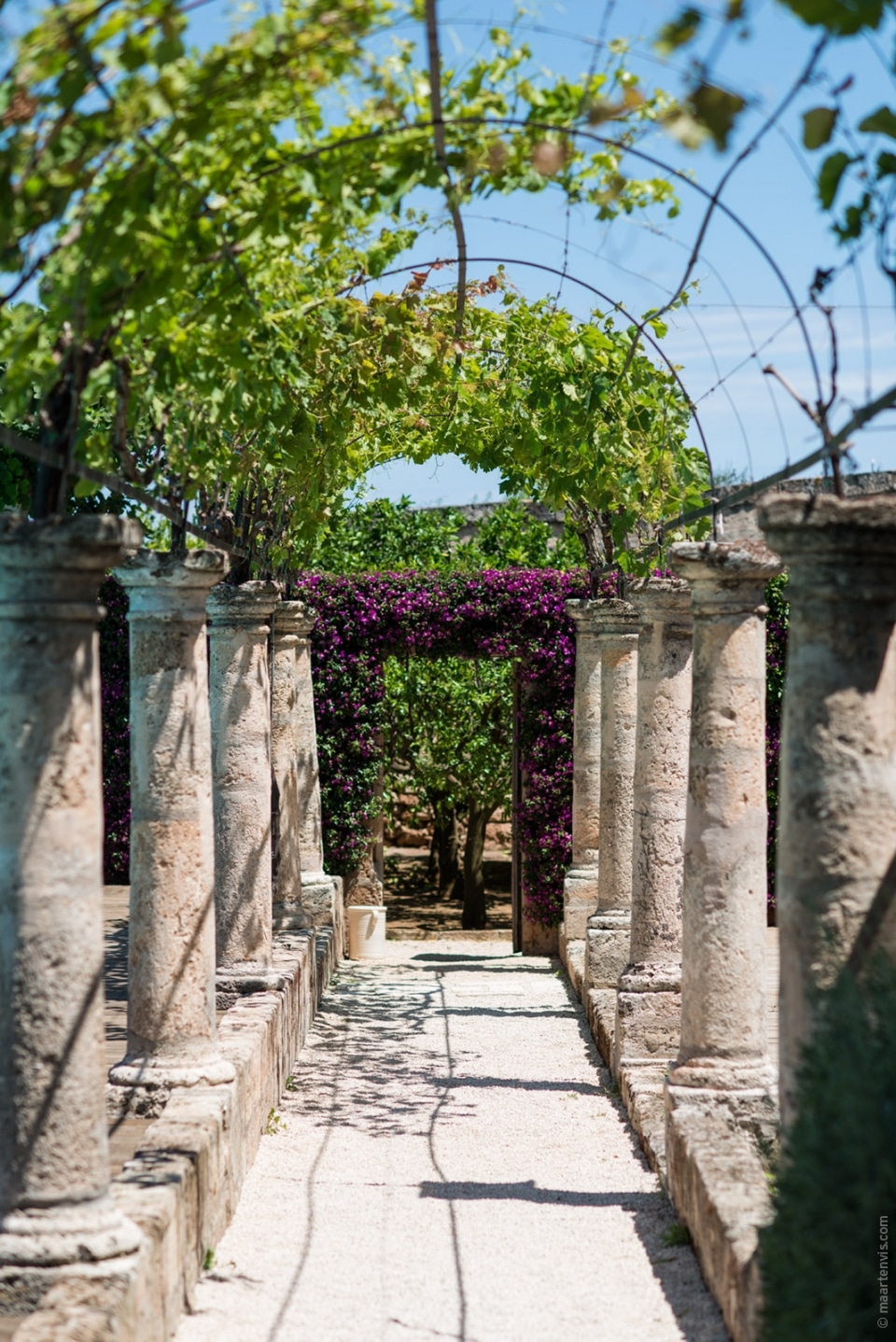 20140529 0898 960x1438 - Masseria Torre Maizza