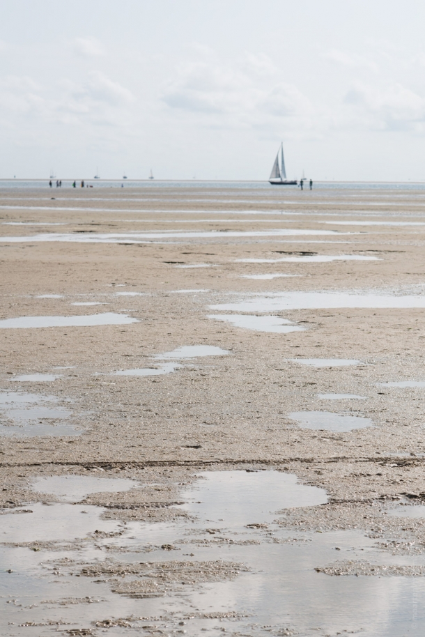 20140906 2585 610x914 - The Green Beach on Terschelling