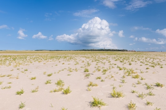 20140906 26201 540x360 - The Green Beach on Terschelling