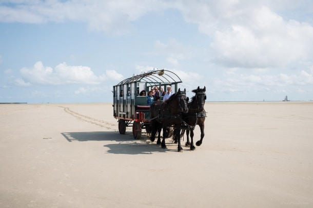 20140906 2627 610x407 - The Green Beach on Terschelling