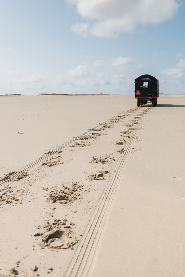 20140906 2633 610x915 - The Green Beach on Terschelling