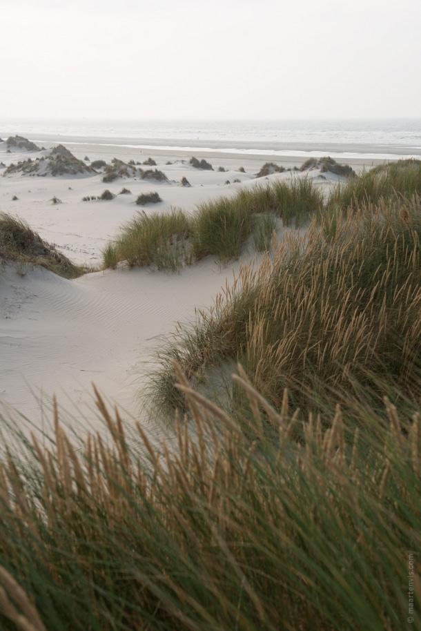 20140909 2878 610x914 - Off Season Terschelling