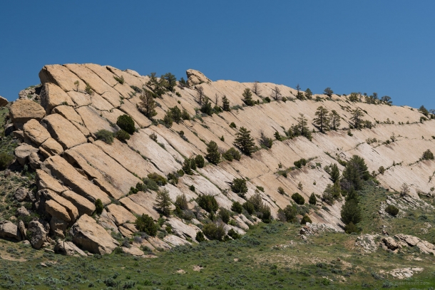 20150612 9114 610x407 - On the Road to Yellowstone