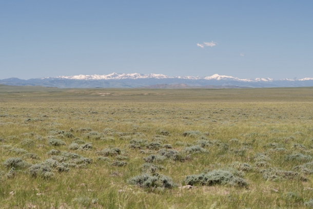 20150612 9125 610x407 - On the Road to Yellowstone