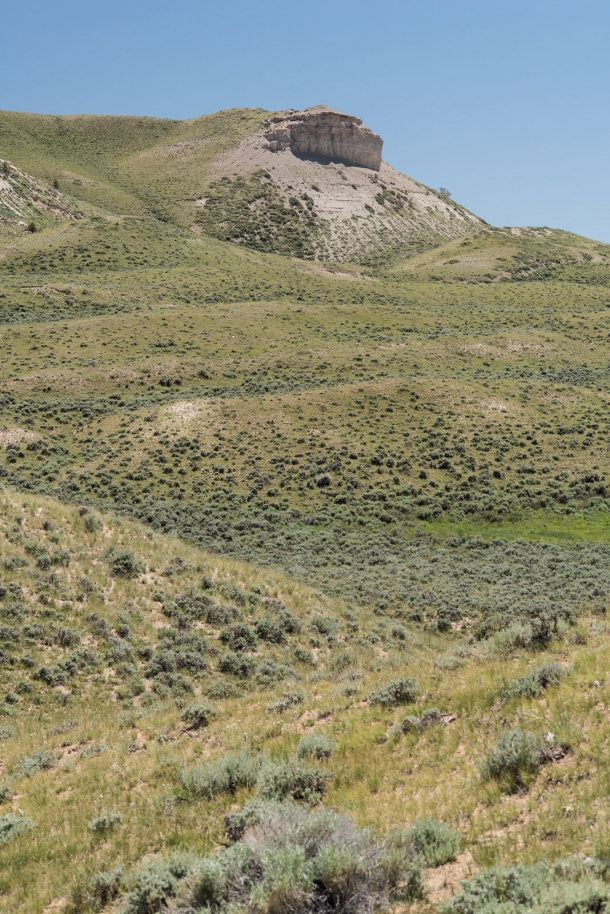 20150612 9144 610x914 - On the Road to Yellowstone